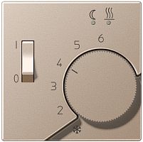 Лицевая панель Jung A creation для терморегулятора шампань картинка